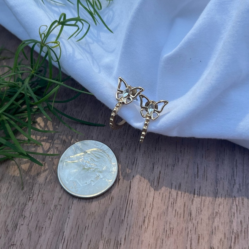 Butterfly hoops